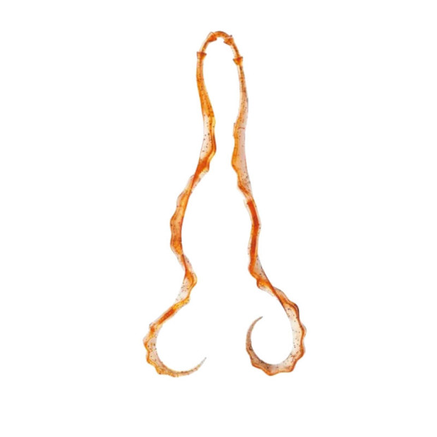 Силикон GAMAKATSU-LUXXE OHGEN 3D SOFT NECKTAI