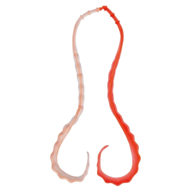 Силикон GAMAKATSU-LUXXE OHGEN 3D SOFT NECKTAI