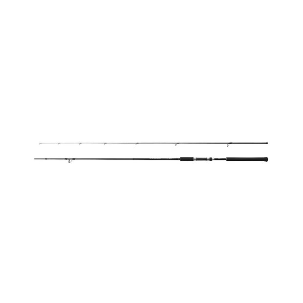 SHIMANO SALTY ADVANCE SHORE JIGGING 100H - SHIMANO