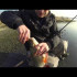 Воблер SALMO IMAGE TINY 3 FLOATING 2g