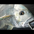 Пенсил DUO REALIS PENCIL 85 SW 9,7g
