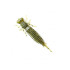 FANATIK - LARVA 2.5