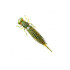 FANATIK - LARVA 2.5