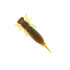 FANATIK - LARVA 2.5