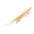 MAGBITE SNATCH BITE SHRIMP 2.5inc