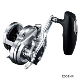 SHIMANO OCEA JIGGER 2001NRHG