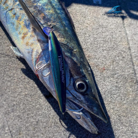 OCEAN'S LEGACY TIDALUS MINNOW 160mm 70g
